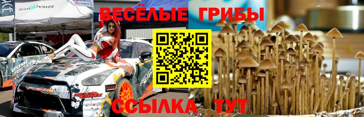 купить наркотики цена  Вход с VPN  Грязи  Галлюциногенные грибы прущие грибы 