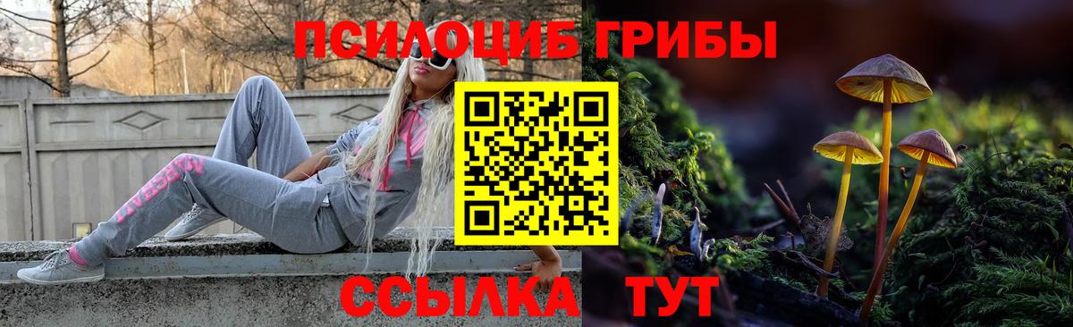 Псилоцибиновые грибы мухоморы Грязи